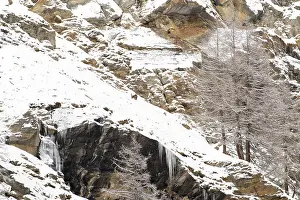 A snowy mountainous landscape with barren trees and rugged rocks