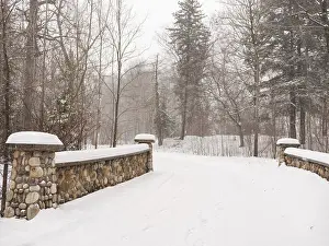 A snowy path through a serene forest with a stone bridge in London