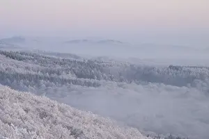 Snowy range of hills with frosty trees in the morning light