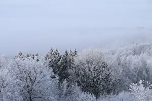 Snowy range of hills with frosty trees in the morning light