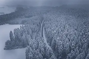 Snowy road and forests under a grey sky