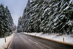 A snowy road leads through a quiet forest