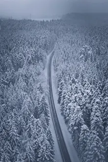 Framed Print : Snowy road snaking through a thick forest