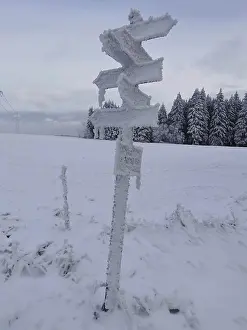 Snowy signpost in a winter landscape with forest in the background