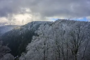 Snowy trees against a gloomy sky in a wintry mountain landscape