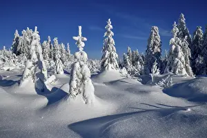 Snowy winter landscape near the Vogelskopf
