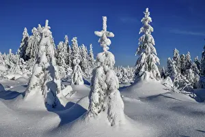 Snowy winter landscape near the Vogelskopf