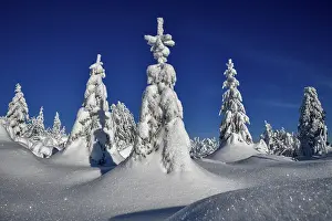 Snowy winter landscape near the Vogelskopf