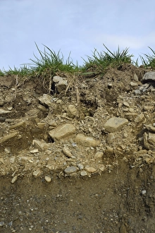 A soil profile showing grass, topsoil and subsoil in Westland