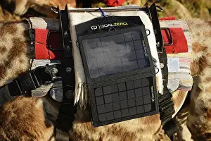 Solar charger attached to a llama