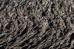 Solidified lava, high temperature area or geothermal area Hveravellir