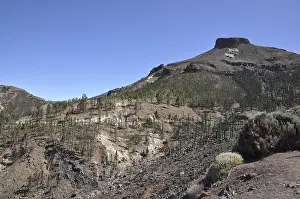 Sombrero, El Sombrero, Tenerife