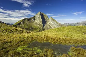 Category Mountain Landscapes Prints: South-east side of the Hoefats 2259m