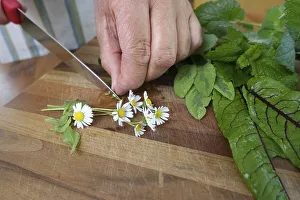 Southern German cuisine, herbs on chopping board