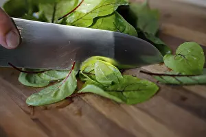 Southern German cuisine, preparation of sorrel soup with char