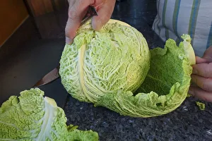 Southern German cuisine, preparing savoy cabbage