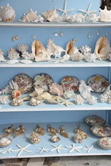 Souvenirs, sea, souvenir, snail