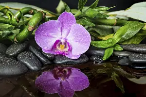 Framed Print : Spa concept with black basalt massage stones