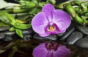 Spa concept with black basalt massage stones