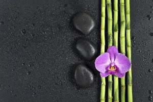 Spa concept with black basalt massage stones