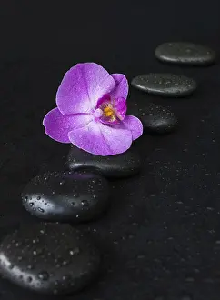 Spa concept with black basalt massage stones arranged chain
