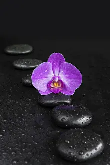 Spa concept with black basalt massage stones arranged chain