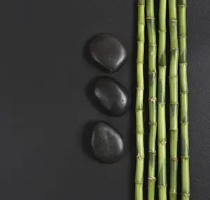 Spa concept with black basalt massage stones and a few stems of Lucky bamboo on a black background