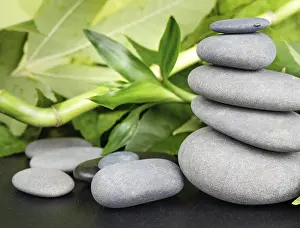 Spa concept with gray basalt massage stones and lush green foliage on a black background