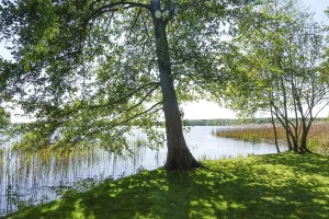 Spa garden, Scharmutzelsee