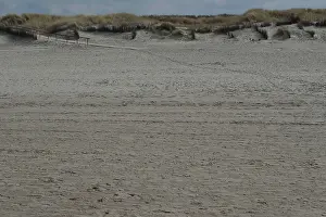 Spacious beach with dunes and open sky