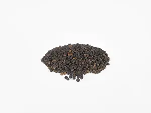 Spices, black pepper on white background