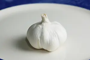 Spices, Garlic bulbous kept on white plate