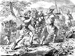 The spies take samples of the fruits of Canaan