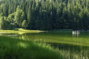Spitzingsee, mountain lake with pond horsetail