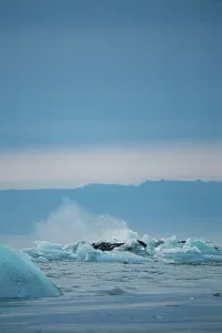 Splashes among icebergs in a dynamic ocean scene under a cold sky