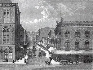 Spongia officinalis (1862) on Montgomery Street in San Francisco
