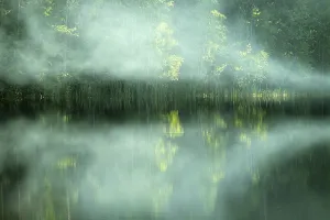 Spring in all its glory! Beautiful river with forest banks and birch trees in fresh foliage