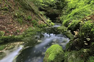 Spring emerges from rock, Wulfbachquellhohle