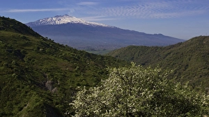 Category Mountain Landscapes Prints: Spring, green mountainsides, blossoming trees