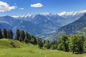 Spring meadow in Kullu valley in Himalaya mountains