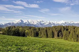 Spring meadow near Fuessen, Allgaeu Alps