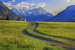 Spring meadow with the Zugspitzgruppe 2962m in the evening sun