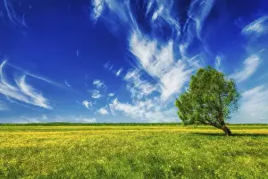 Category Buddhism Prints: Spring summer background