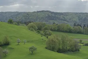 Spring in the Swabian-Franconian Forest nature park Park