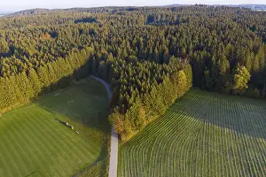 Spruce forest, sports field and meadow
