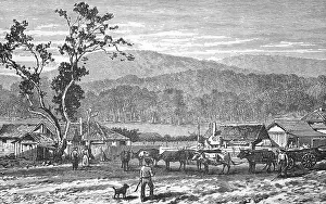 A squatter settlement, around 1870