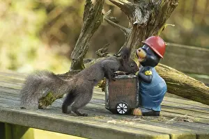 Squirrel standing on wooden table stretched right looking at mole figure with nuts