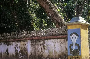 Sree Nagaraja temple in Mannarasala