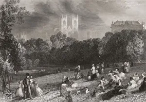St James's Park, Buckingham Palace