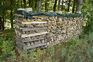 Stack of firewood neatly piled and covered in a forest setting